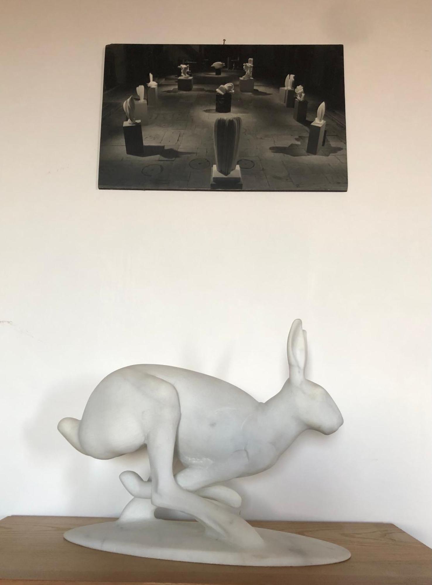 La Terrazza Daire Massa  Dış mekan fotoğraf